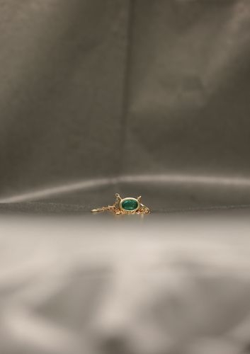 Ring Image
