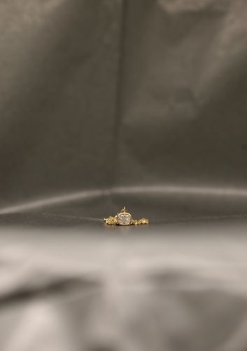 Ring Image