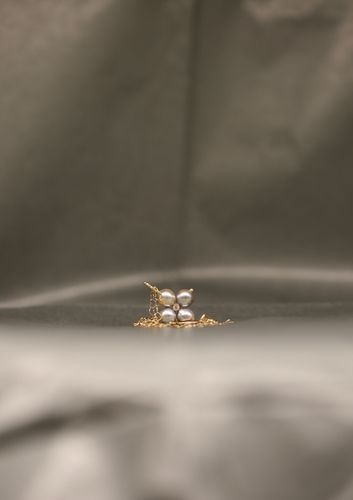 Ring Image