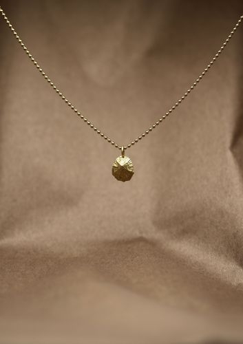 Ring Image